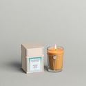 Picture of Candle - Minted Aloe Candle from Votivo
