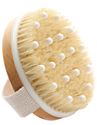 Picture of ap: Dry Body Brush