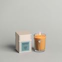 Picture of Candle - Juniper Rain Candle from Votivo