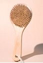 Picture of Dry Body Brush by Midnight Paloma